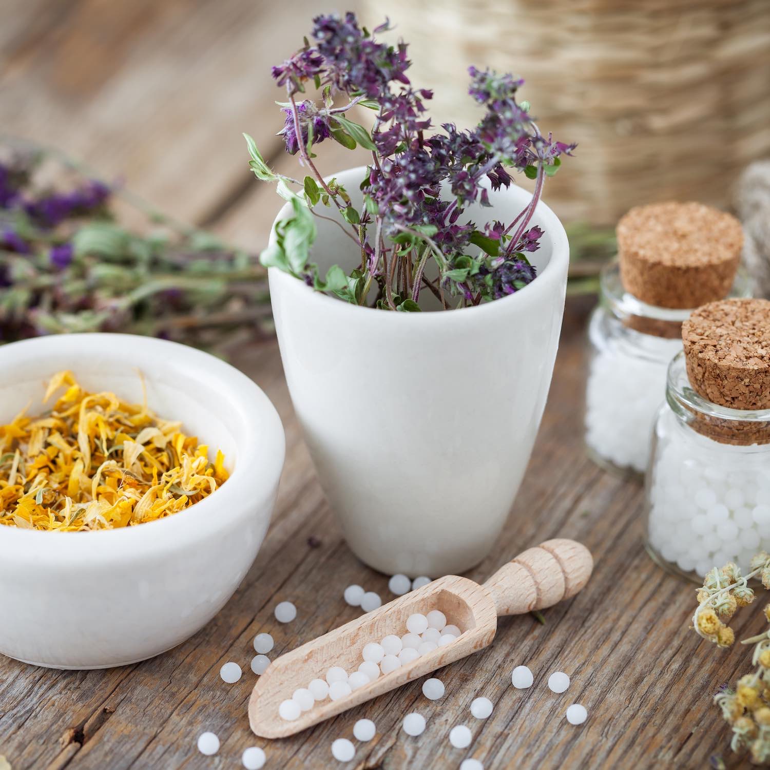 Homéopathie Homéopathie, Pharmacie de Mettray, Mettray La Membrolle-sur-Choisille